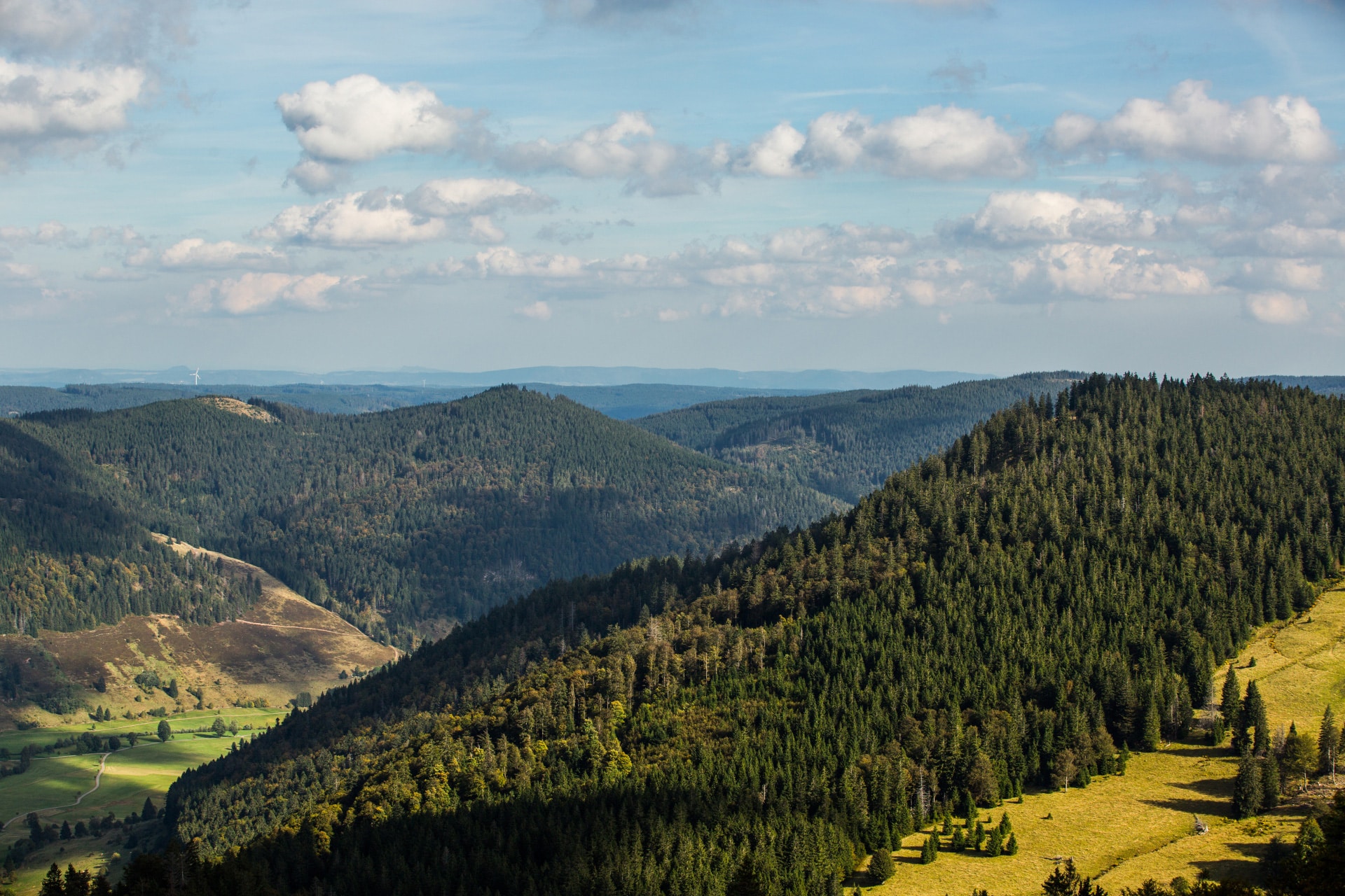 Aktivurlaub im Schwarzwald